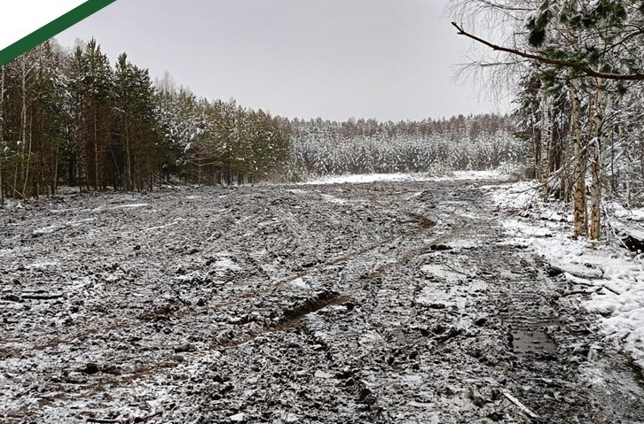 Больше 13 тысяч кубометров мусора вывезли из никольских лесов