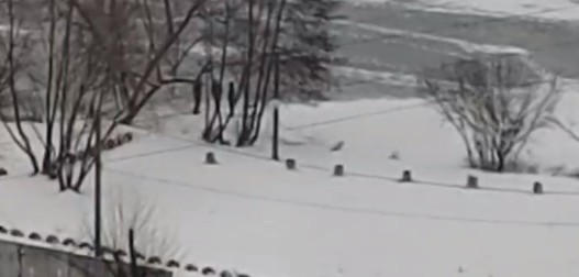 На пляже ГПЗ дети устроили игры с риском для жизни