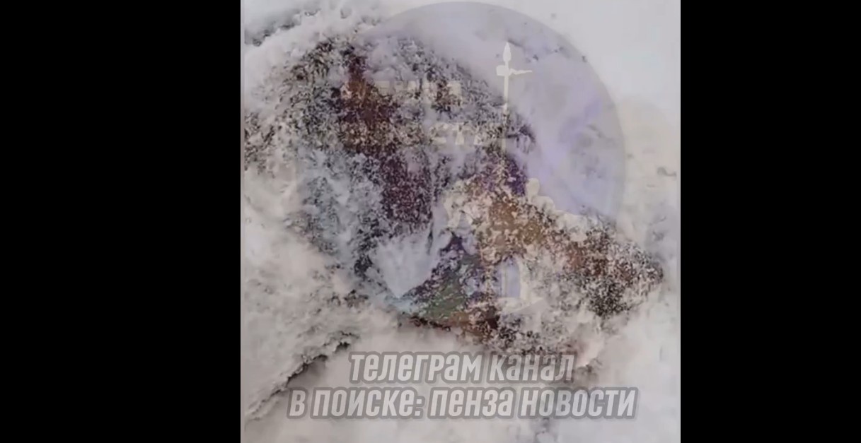 Пензячка пожаловалась на труп собаки, закопанный в снегу