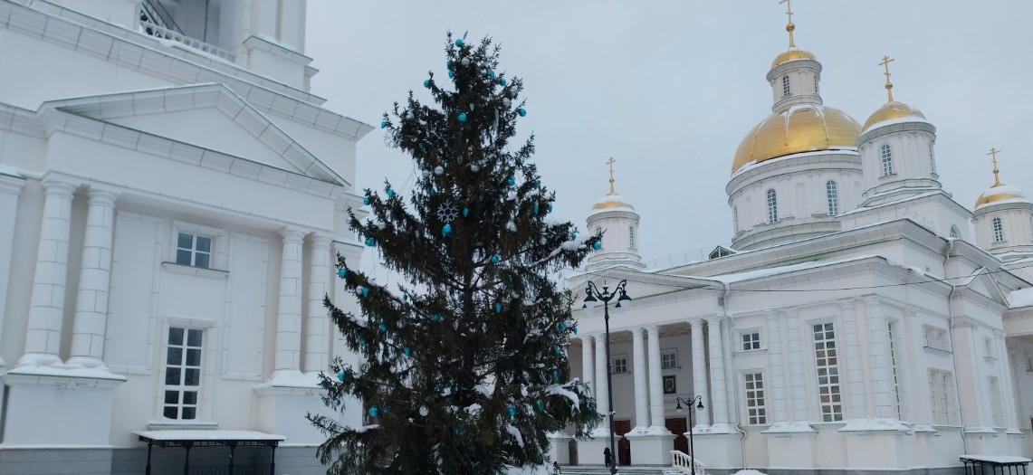 На Соборной площади Пензы установили новогоднюю ель