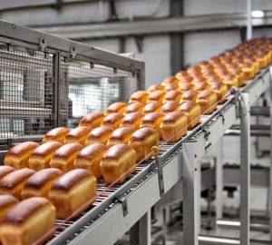 Рост пищевого производства в Пензенской области составил 103,7%