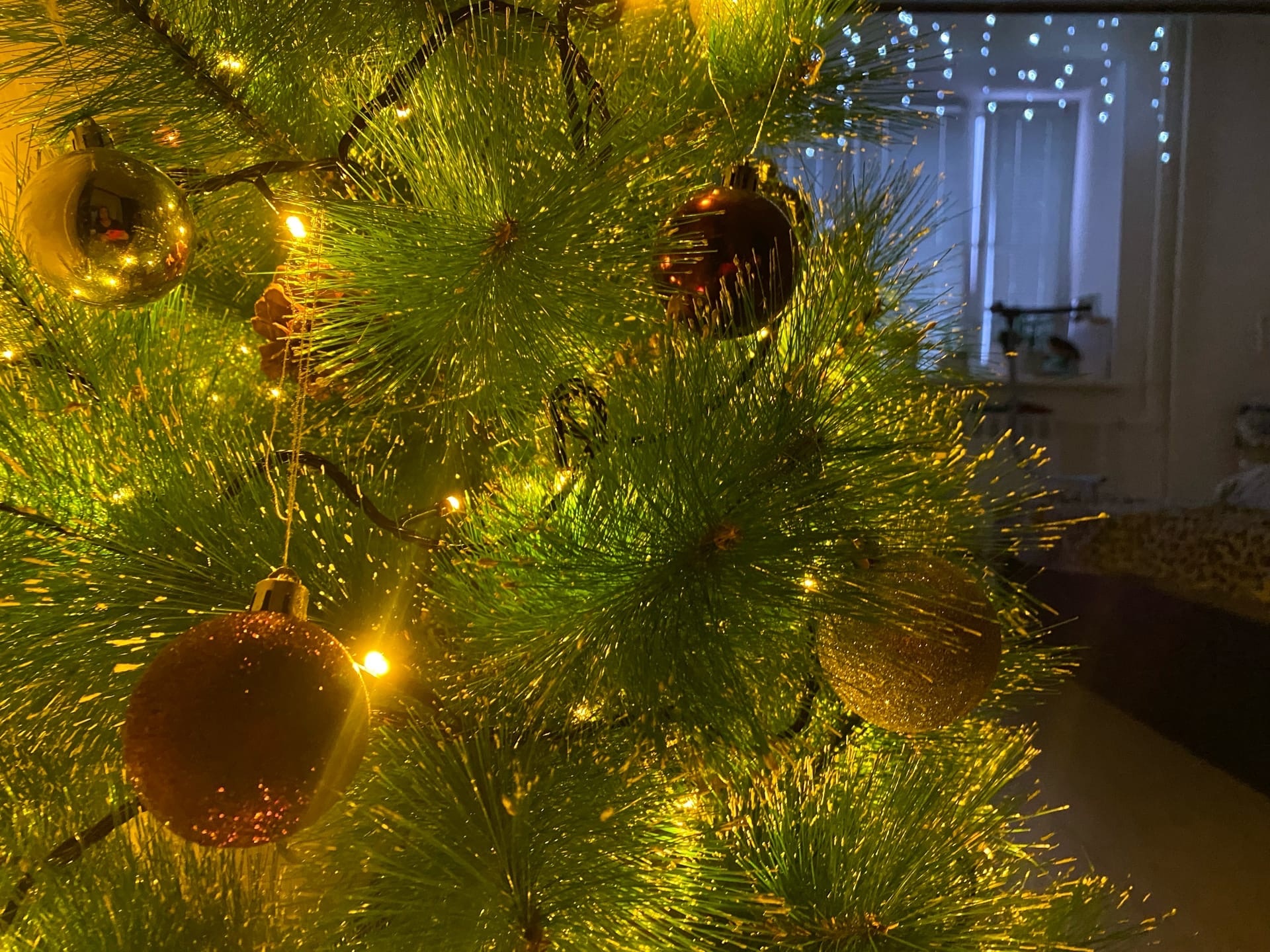 Пензенцам рассказали, как пережить новогоднее похмелье