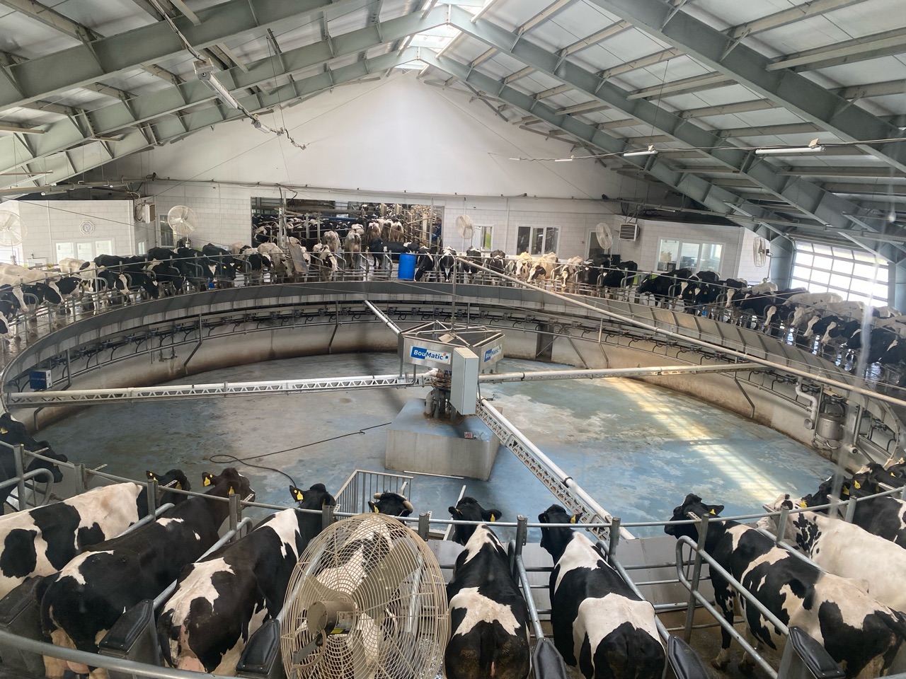 Пензенская область — лидер в России по надою молока