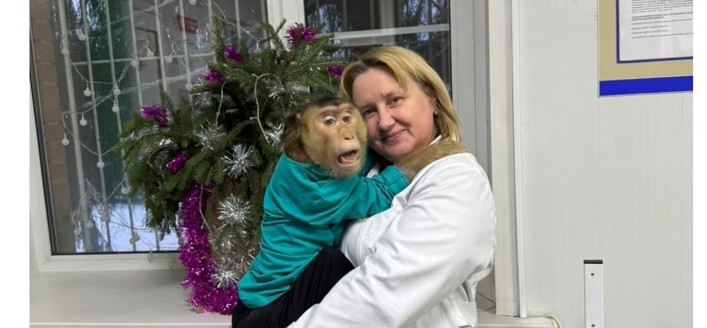 Пензенские ветеринары лечат лемуров, хорьков, ежей и макак