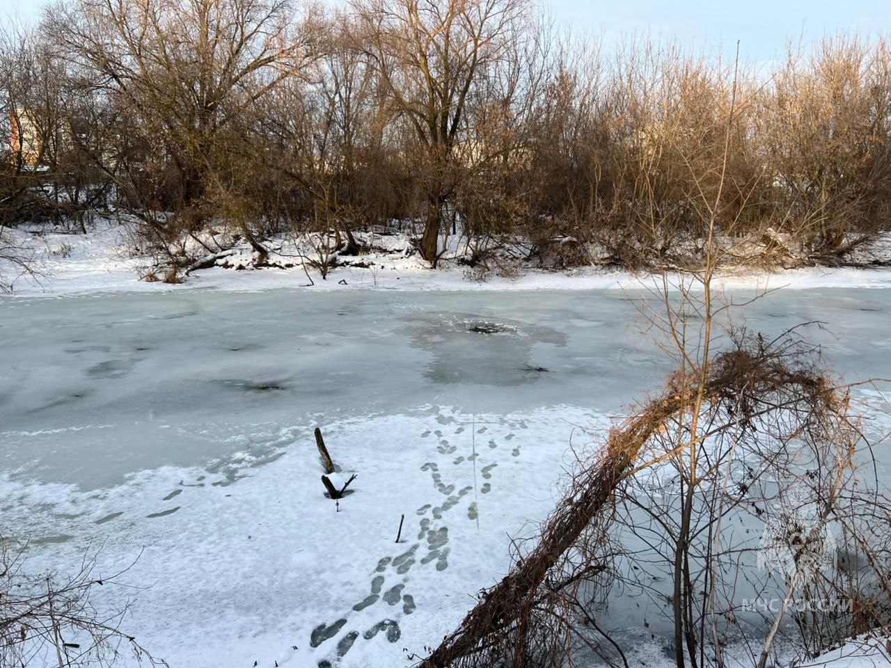 В Пензе девушка провалилась под лед на Суре