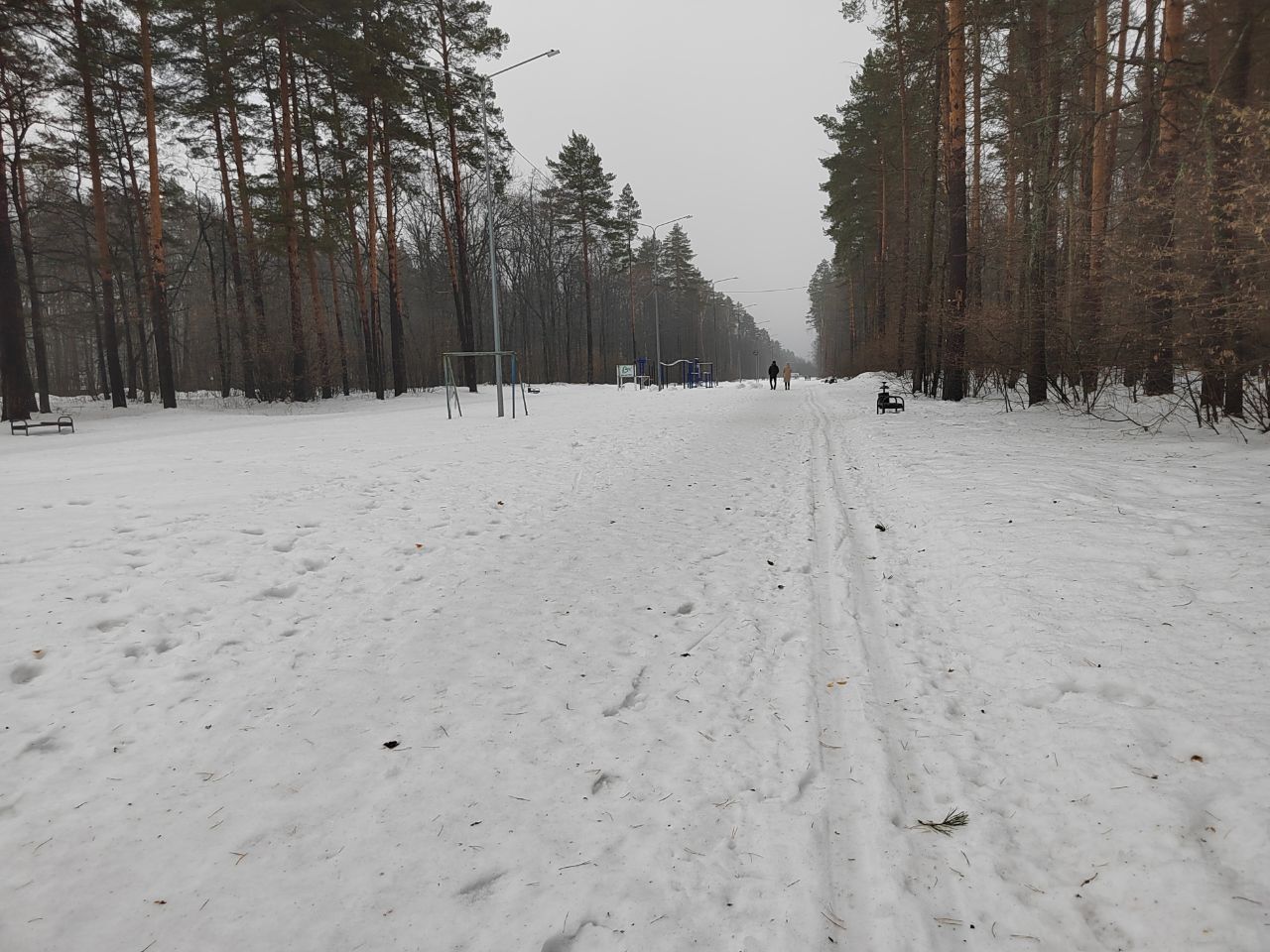Зимняя оттепель в Пензе может разорить прокаты спортинвентаря