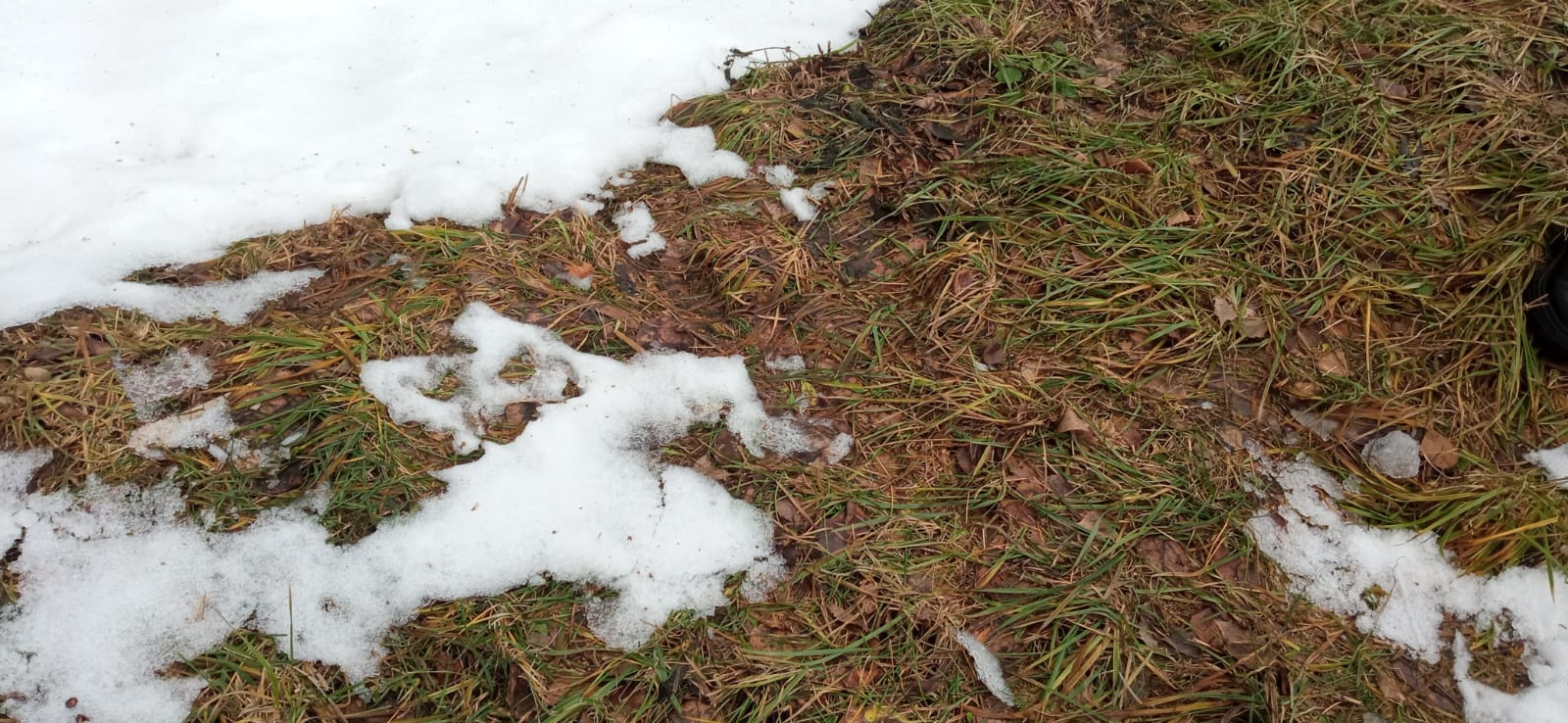 19 января в празник Крещения в Пензе ожидается ноль градусов