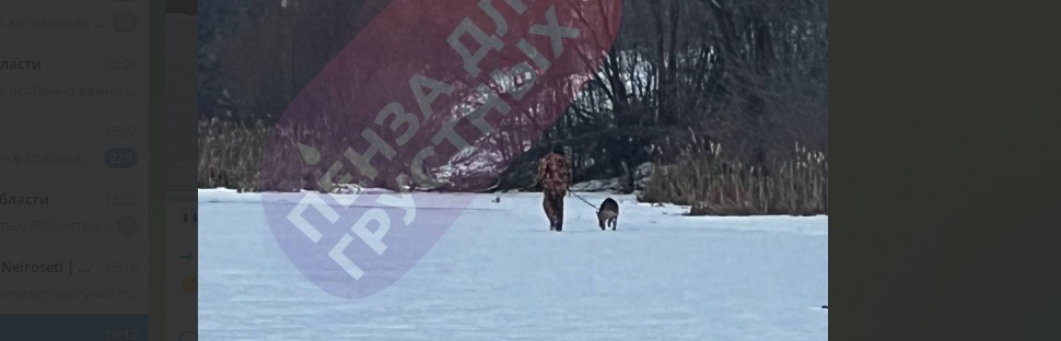 Пензенцы не боятся оттепели: прогулки по льду Суры продолжаются