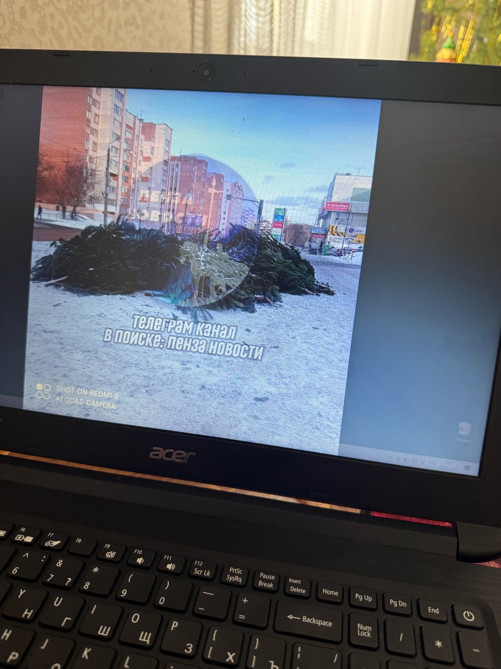 В Пензе после Нового года нераспроданные елки оказались на свалке