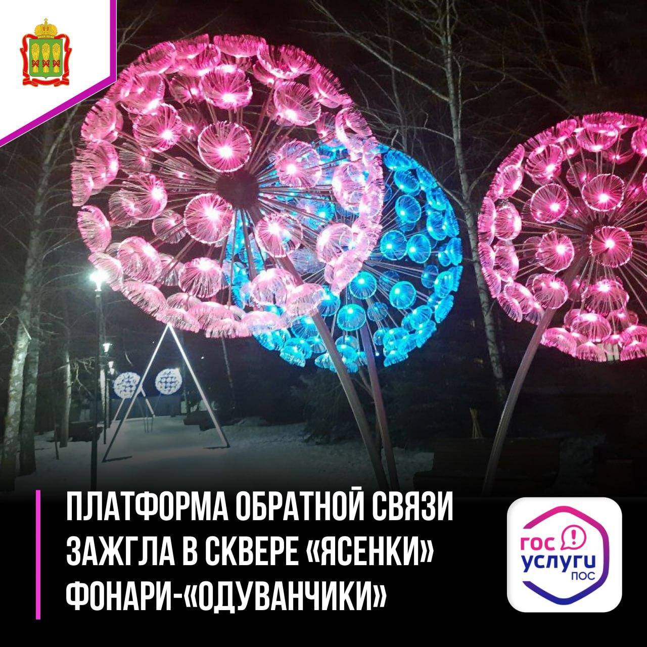 Сердобчанка помогла вернуть свет «Одуванчикам» в городском сквере