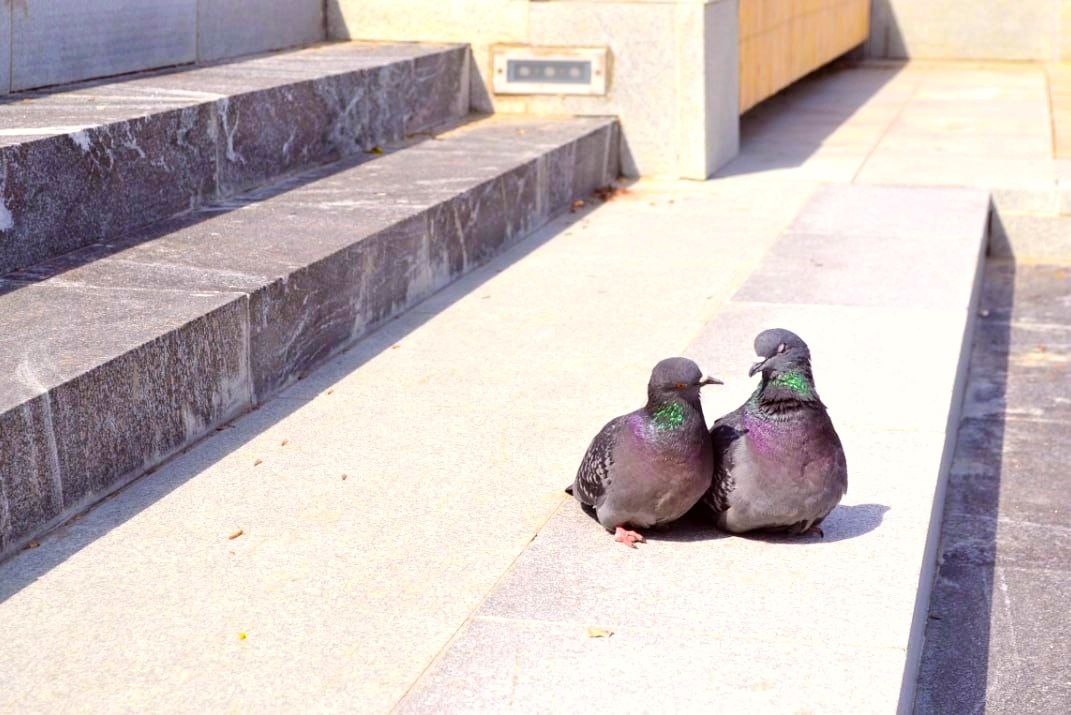 108 пензенских пар заключили брак в первую красивую дату года