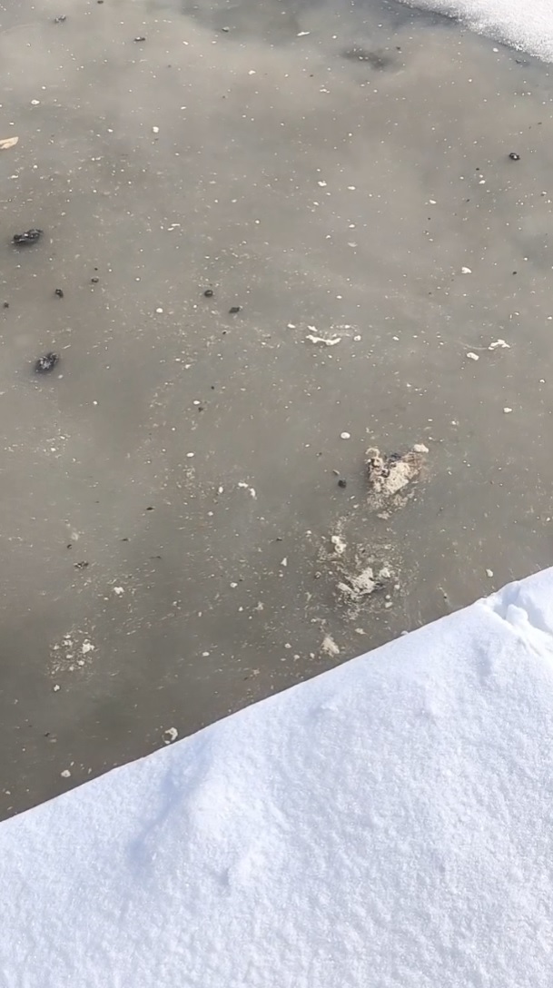 Пензенцев возмутило загрязнение реки Суры туалетными отходами