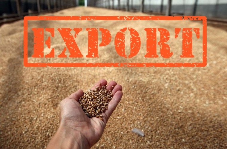 Почти 900 тонн пензенского зерна отправилось на экспорт в Беларусь и Турцию