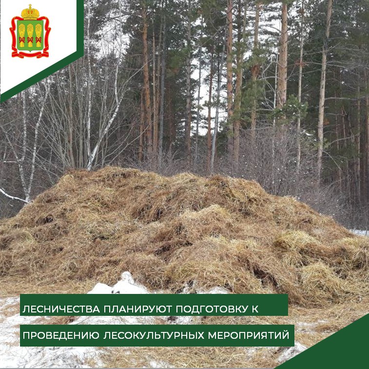 В Пензенской области начали готовить «снежные кучи» для деревьев