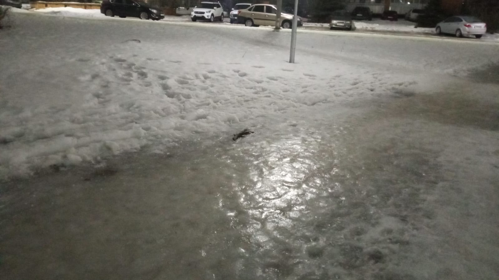 Пензячка получила перелом из-за гололеда и требует решения проблемы