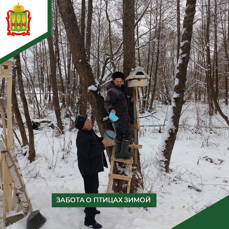 Пензенцев в рамках акции призвали поддержать птиц зимой