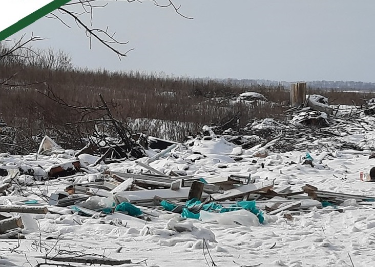 В Пензе подготовят проект по ликвидации крупной свалки в Спасске