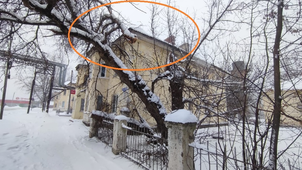 Опасное дерево на улице Ушакова спилено после обращения пензенцев