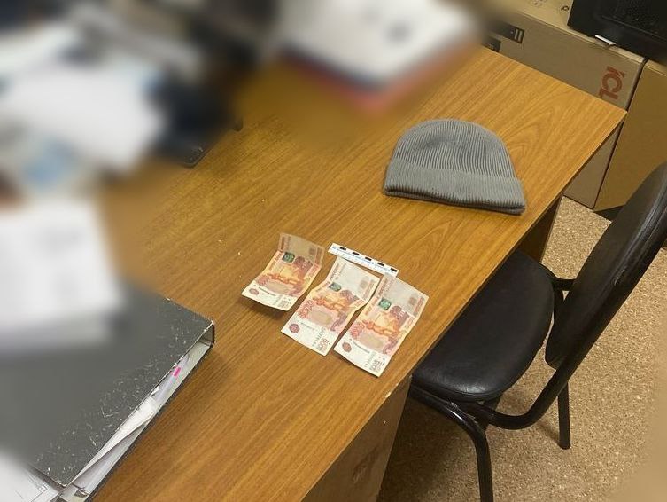 Жительница Земетчинского района пыталась подкупить полицейского