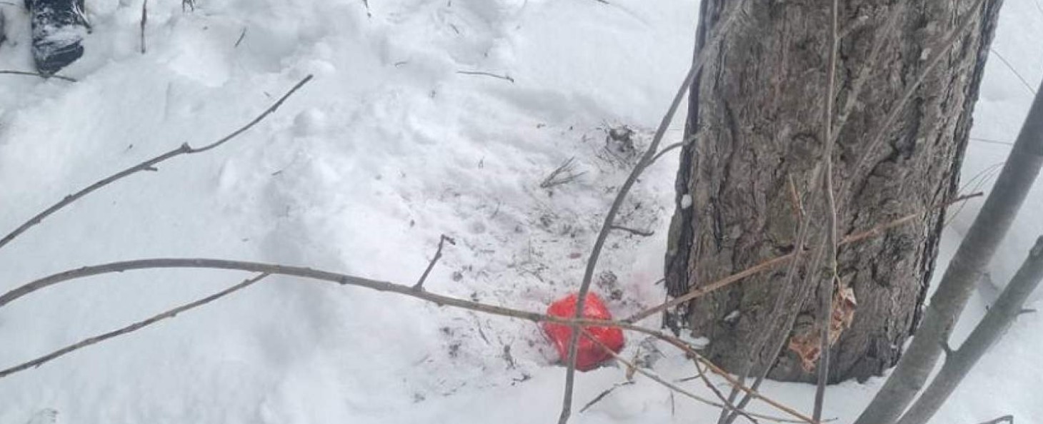 Житель Удмуртии пытался сбыть в Пензенской области крупную партию наркотиков