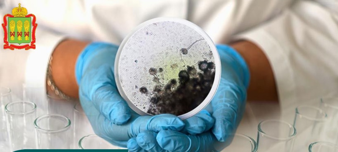 Пензенцам рассказали о страшной грибковой инфекции, споры которой повсюду