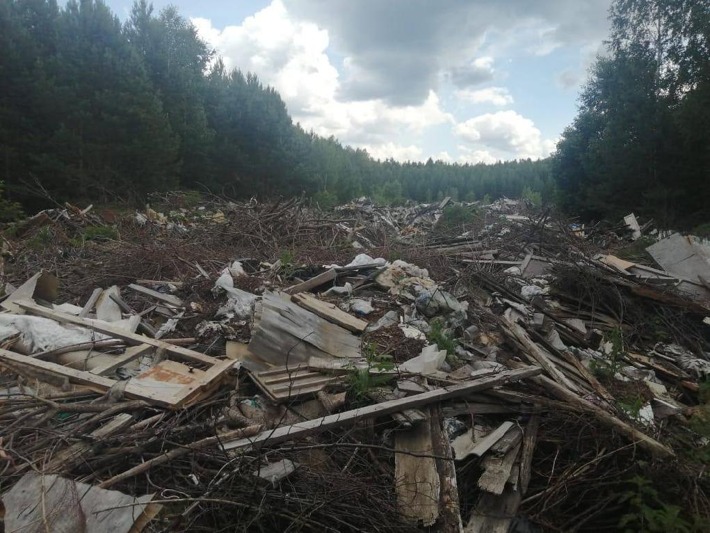 Прокуратура добилась ликвидации свалки в Никольском районе
