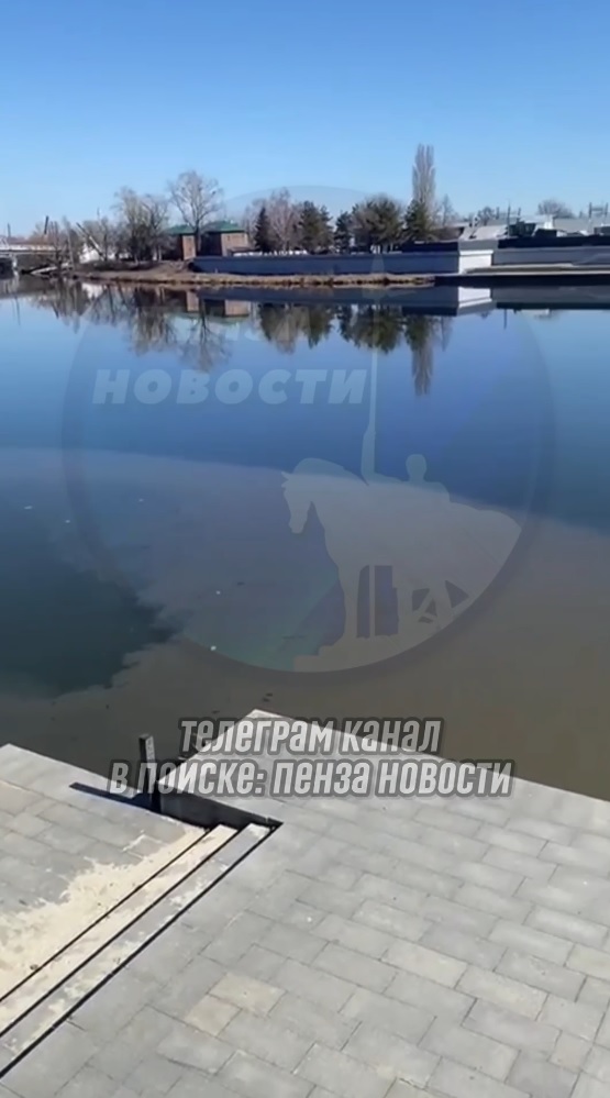 Гуляющие по набережной Пензы горожане заметили странную субстанцию в воде