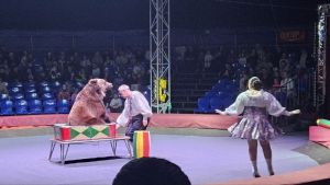 «Караван добрых дел» подарил детям праздник в цирке