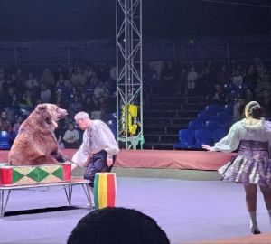 «Караван добрых дел» подарил детям праздник в цирке