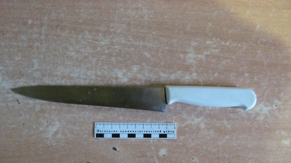 Пензячка ударила ножом сожителя и попыталась скрыться