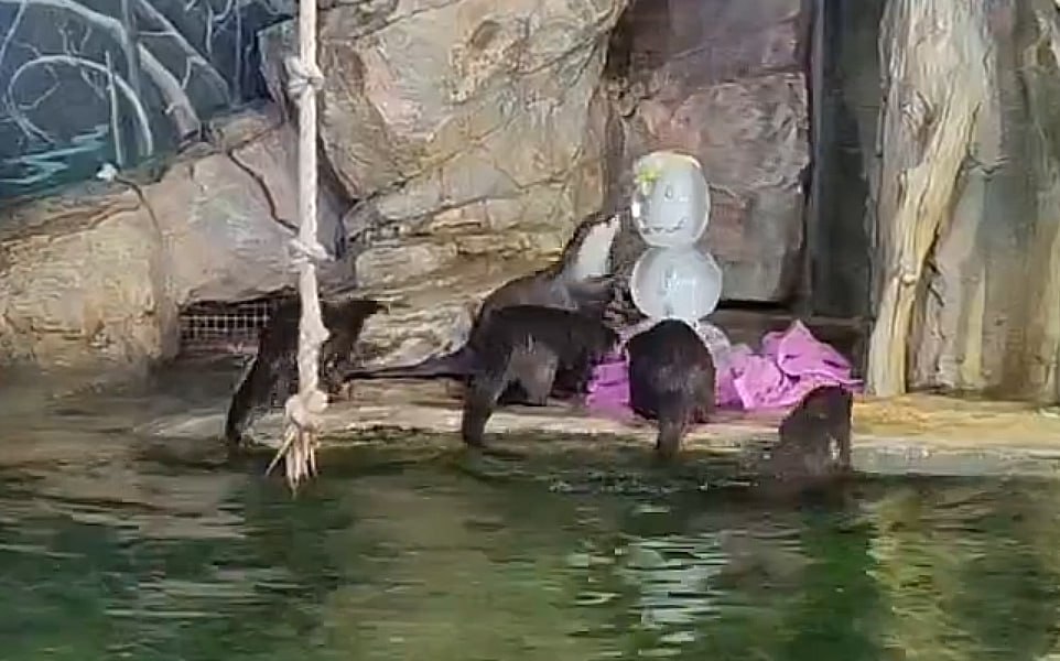 В Пензе утопили чучело Масленицы