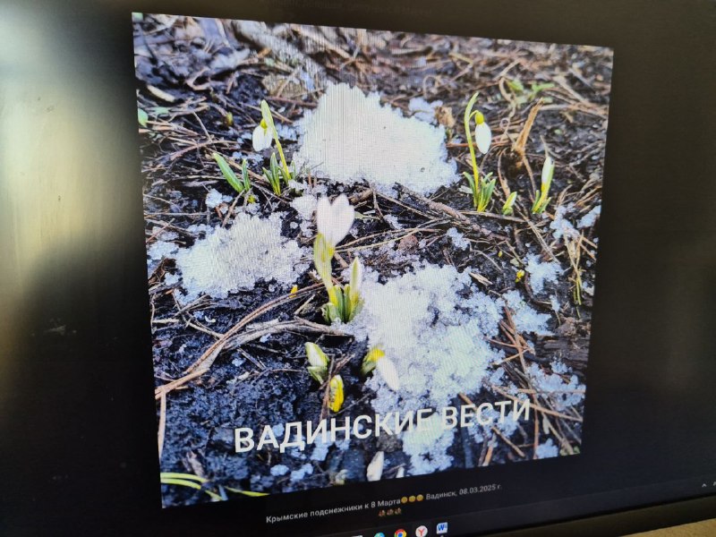 Весна торопится: в Пензенской области уже расцвели подснежники