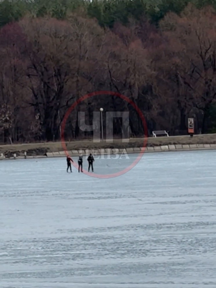 В Засечном заметили подростков, рискующих жизнью на тонком льду
