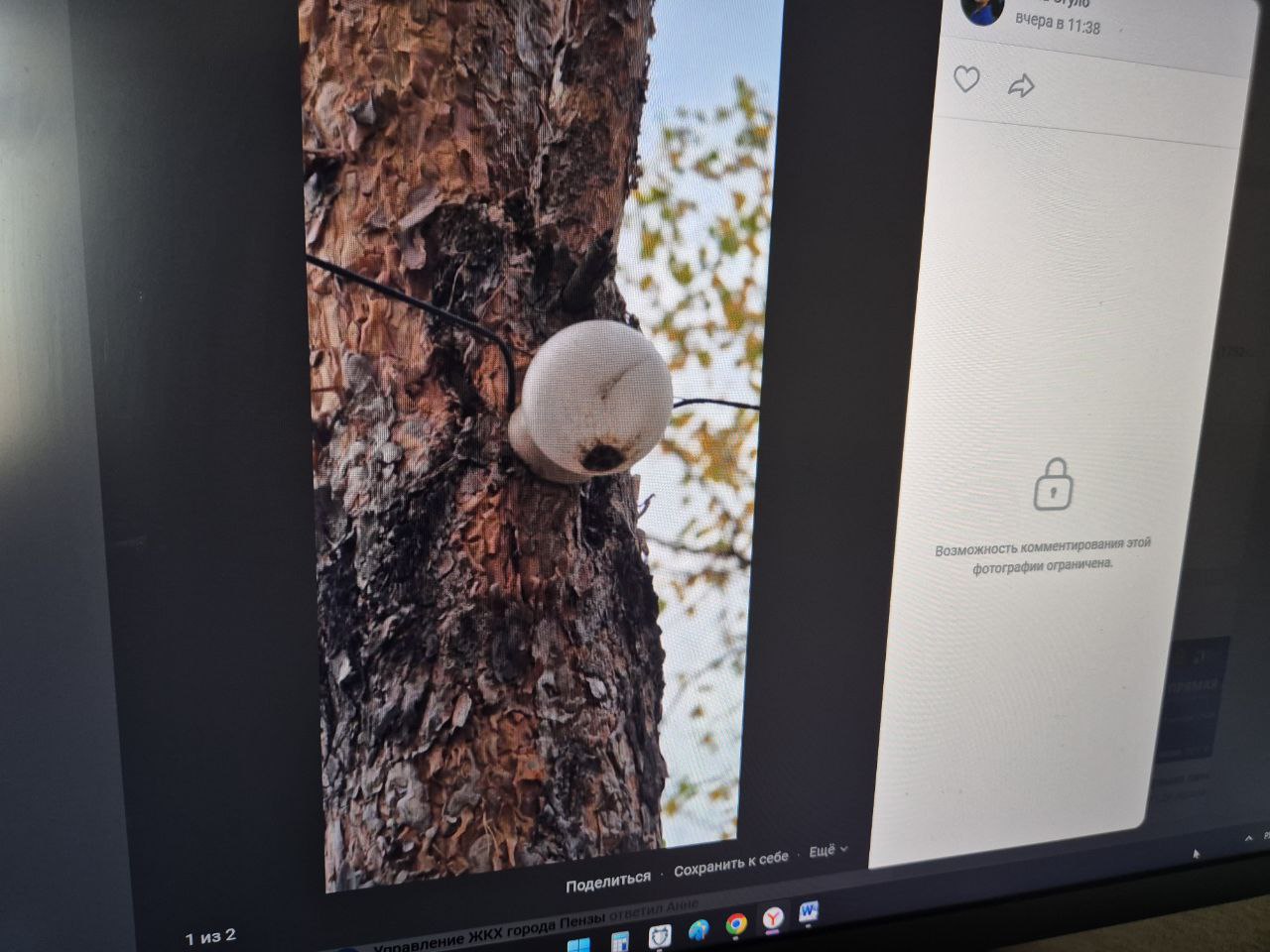 Из-за проводов пензенцы опасаются пожара в лесу у СНТ «Вишенка»