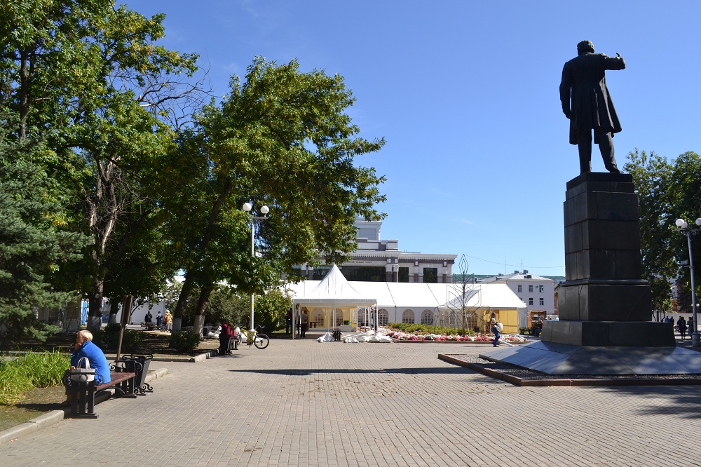 Пензенцы обеспокоены состоянием озеленения в городе