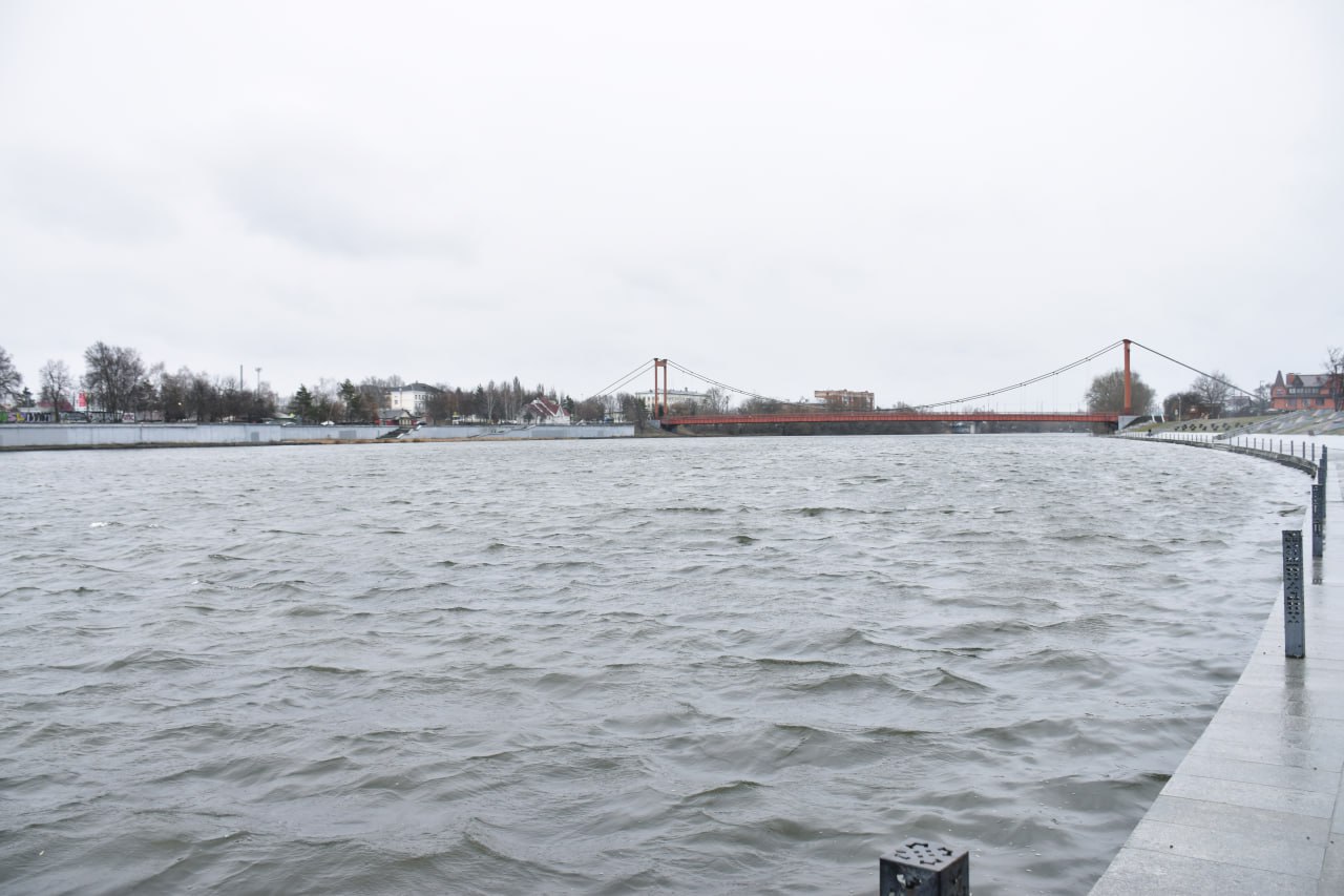 В Пензе в районе набережной Суру очистят от водорослей с помощью спецтехники