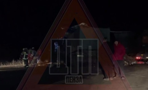 Жуткое ДТП случилось под Кузнецком: кабины грузовиков смяло в лепешку