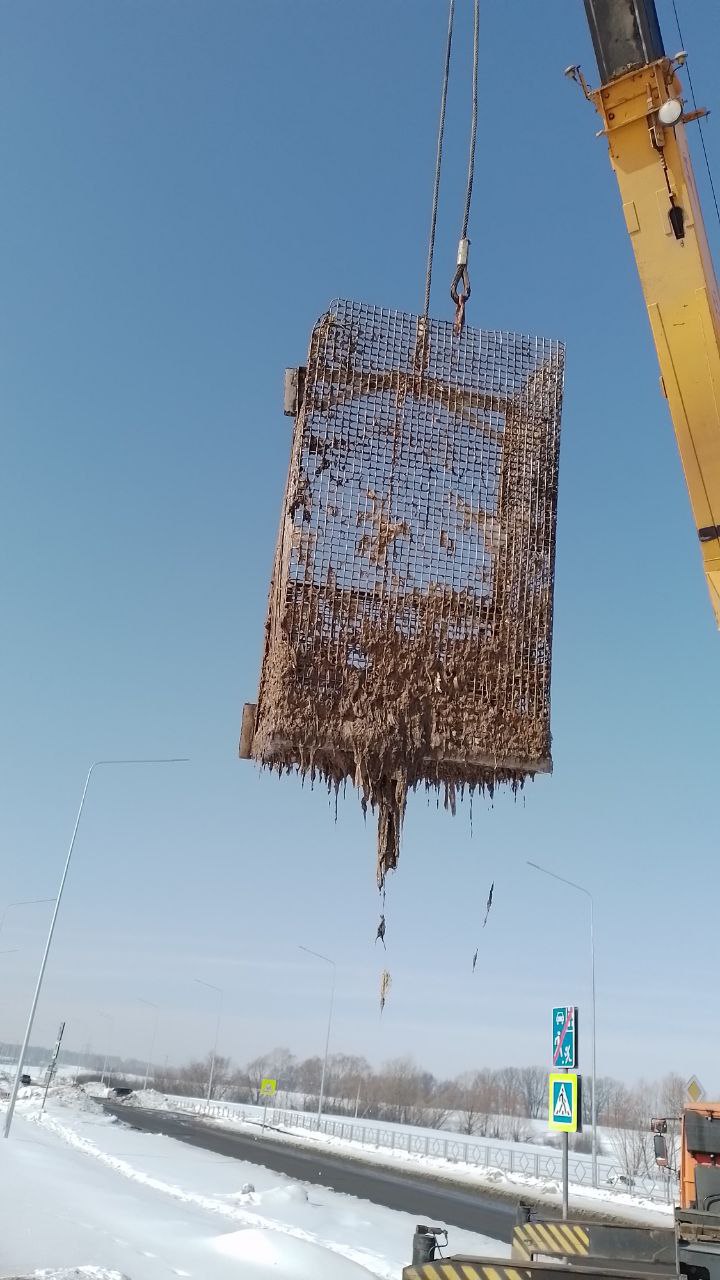 Пензенцам рассказали, что категорически запрещено смывать в унитаз