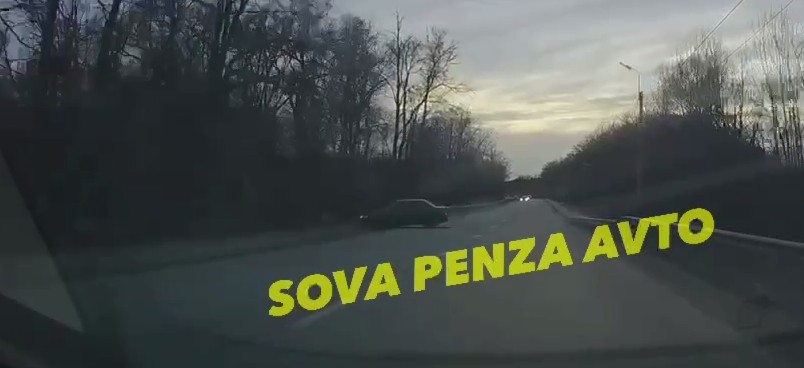 В Пензе лось выбежал на дорогу прямо перед автомобилем