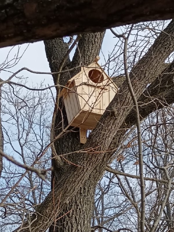 В Пензенской области устанавливают искусственные гнездовья для сов