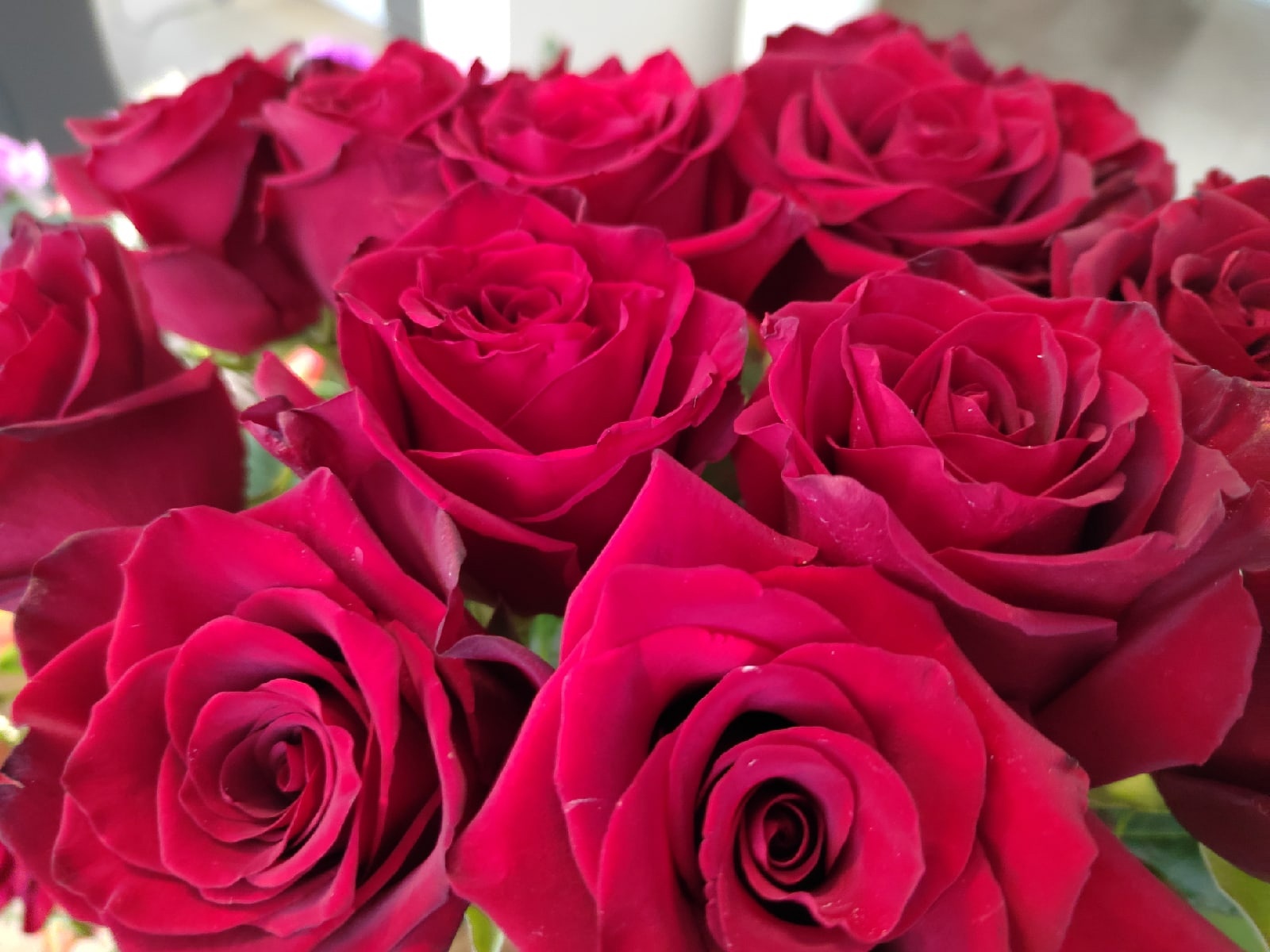 Пензенцам назвали цветы, которые могут подорожать к 8 Марта