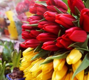 Где в Пензе купить цветы и подарки к 8 марта