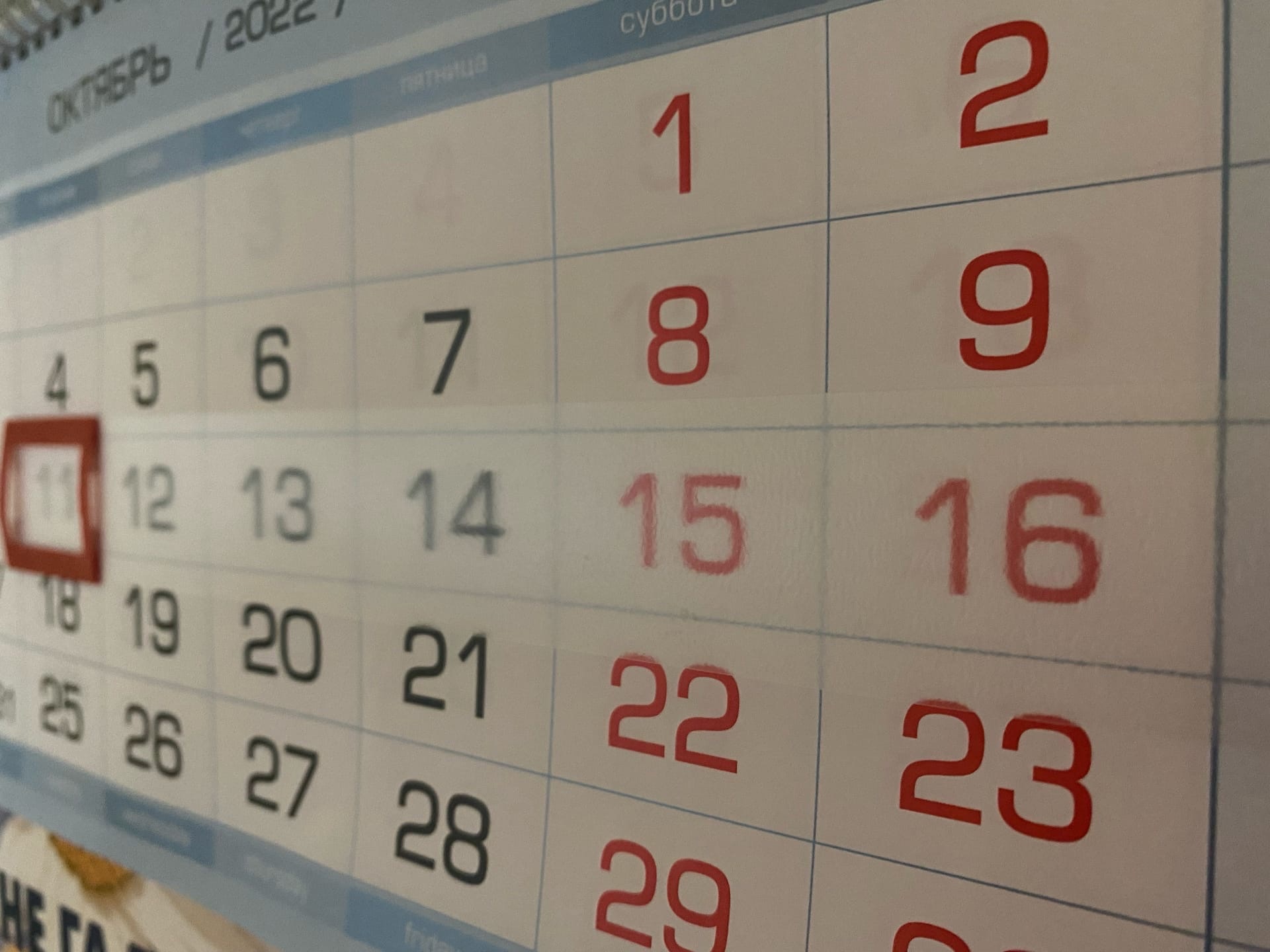 День окончания Ленинградской битвы предлагается сделать днем воинской славы