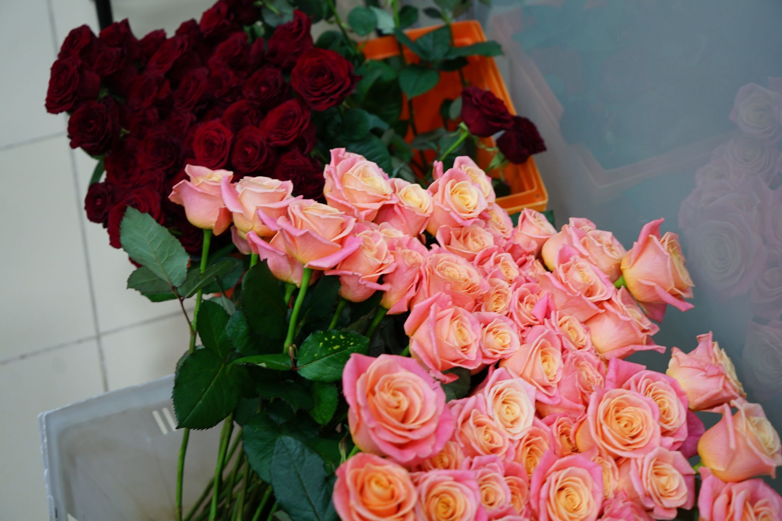 Цены на цветы к 8 Марта вырастут до 25%