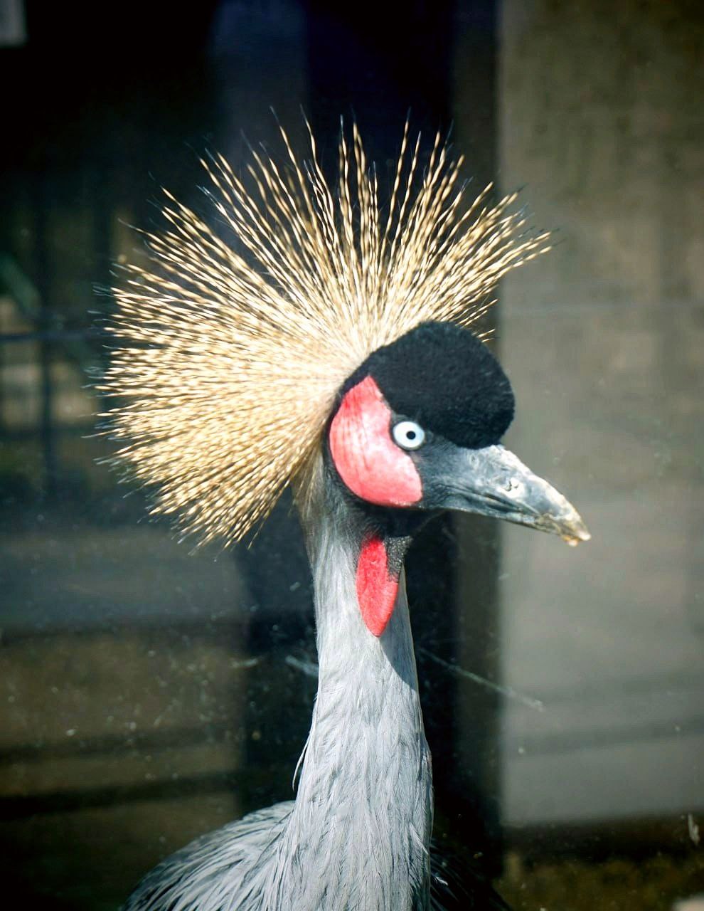 Туристические жемчужины Пензы: зоопарк, парк Белинского, океанариум