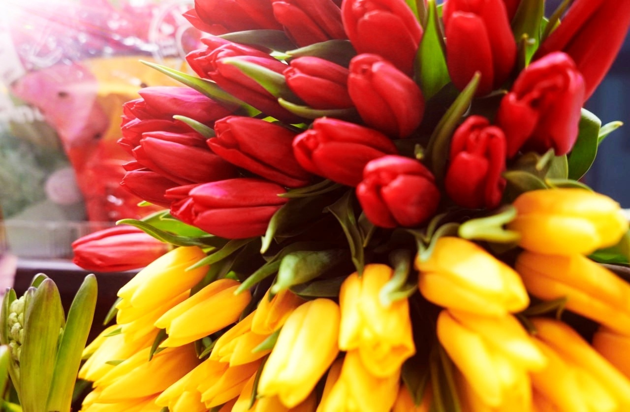 В Пензу 8 марта придет весна