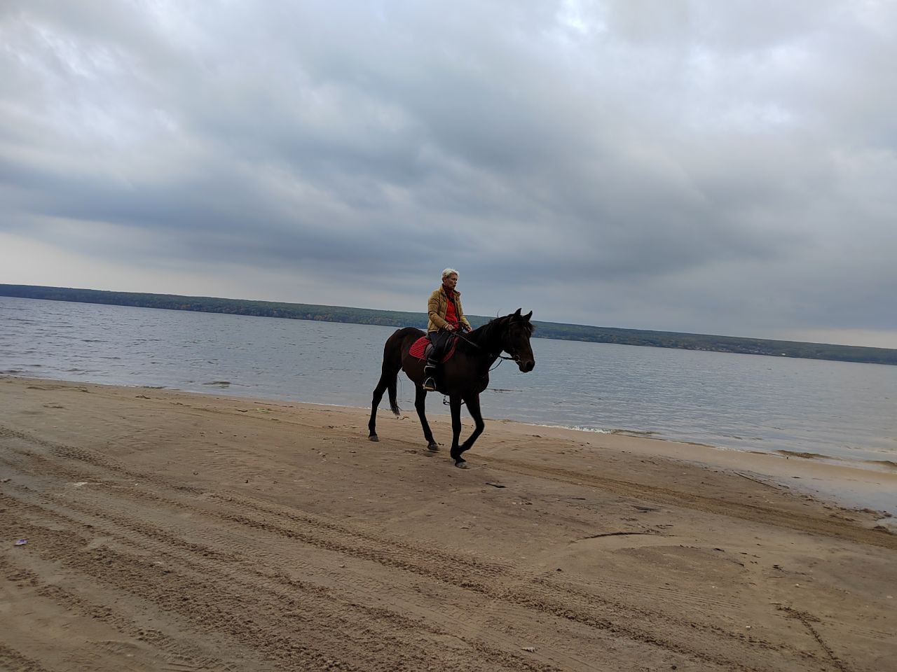 Мэр Кузнецка: «Все в конях, где хотят, там и ездят»