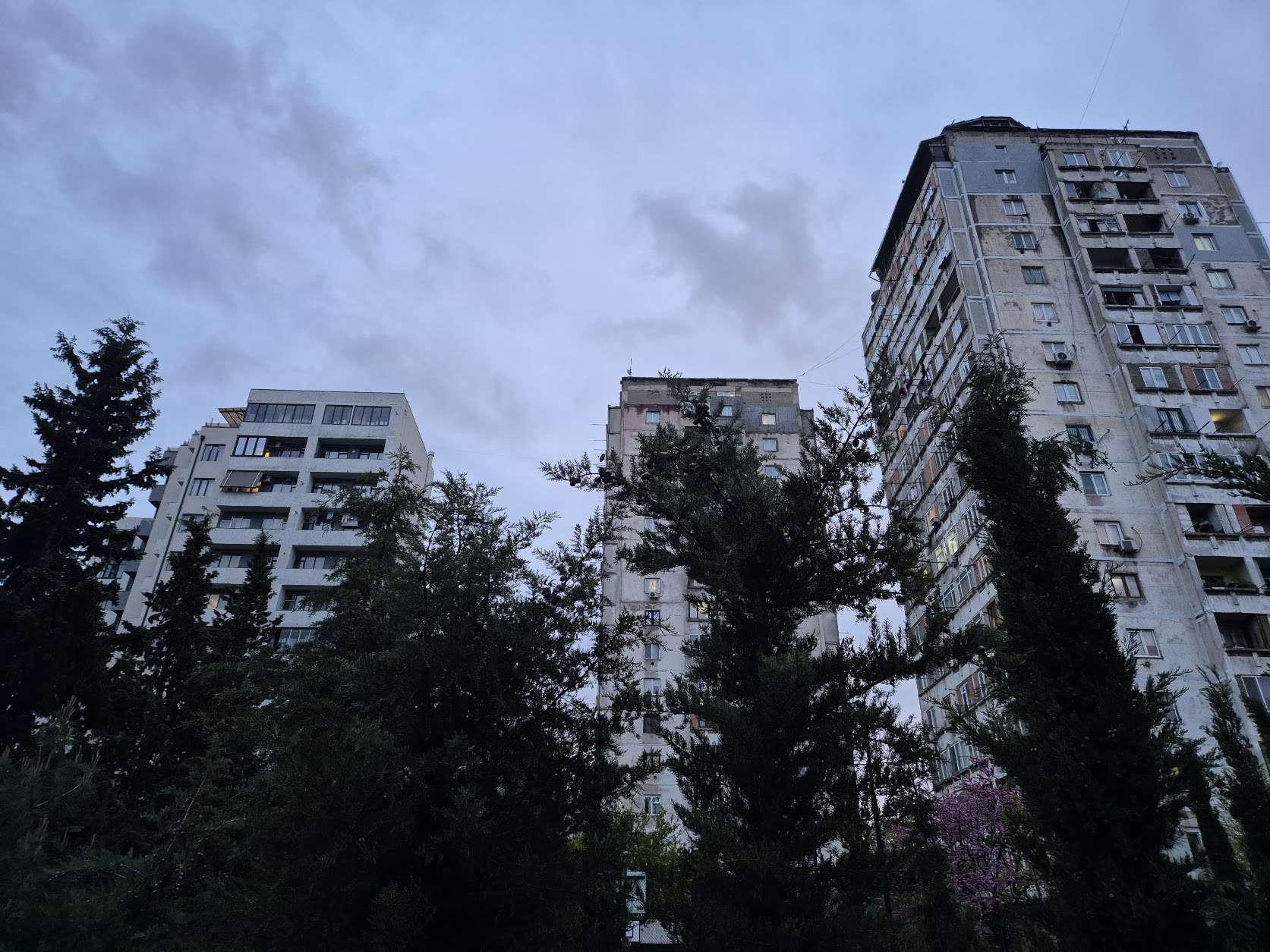 Спасение летучей мыши и опасное мясо: что случилось в Пензе 18 апреля