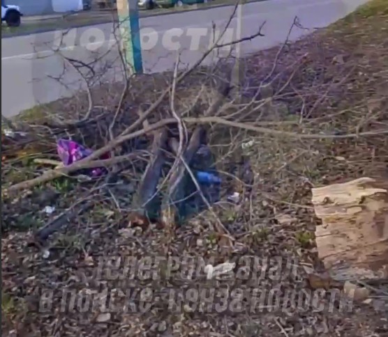 В Пензе мамы с колясками рискуют жизнью по дороге на молочную кухню