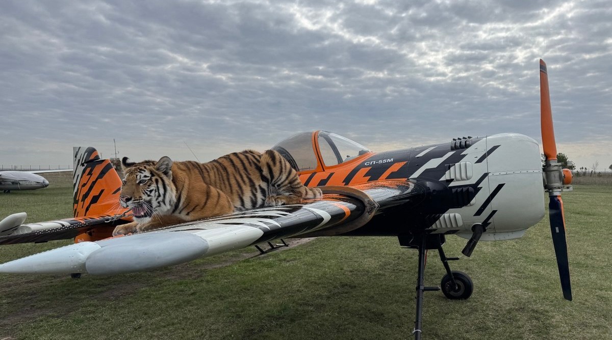 В День Победы пензенцы увидят пилотаж самолета «Тигр»